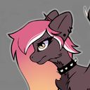 cheesecake5's profile picture