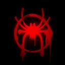 random_raccoon27's profile picture