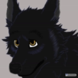 Nightshade1994's profile picture