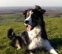 Greyam's profile picture