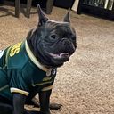 erynn_cooper's profile picture