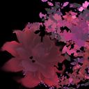 dahliaafterdusk's profile picture