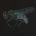 privacyisdead's profile picture