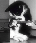 Sploot's profile picture