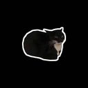eliseluneux's profile picture