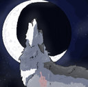 Loccian's profile picture