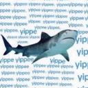 shark_with_socks's profile picture