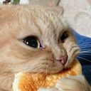 arrio_mario's profile picture