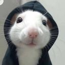 pumpkinhead16's profile picture