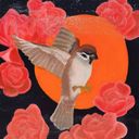 sophiegstudio's profile picture