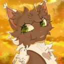 piegowata's profile picture