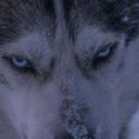 astropatu_cj01's profile picture