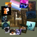 FluffWarriorCat's profile picture